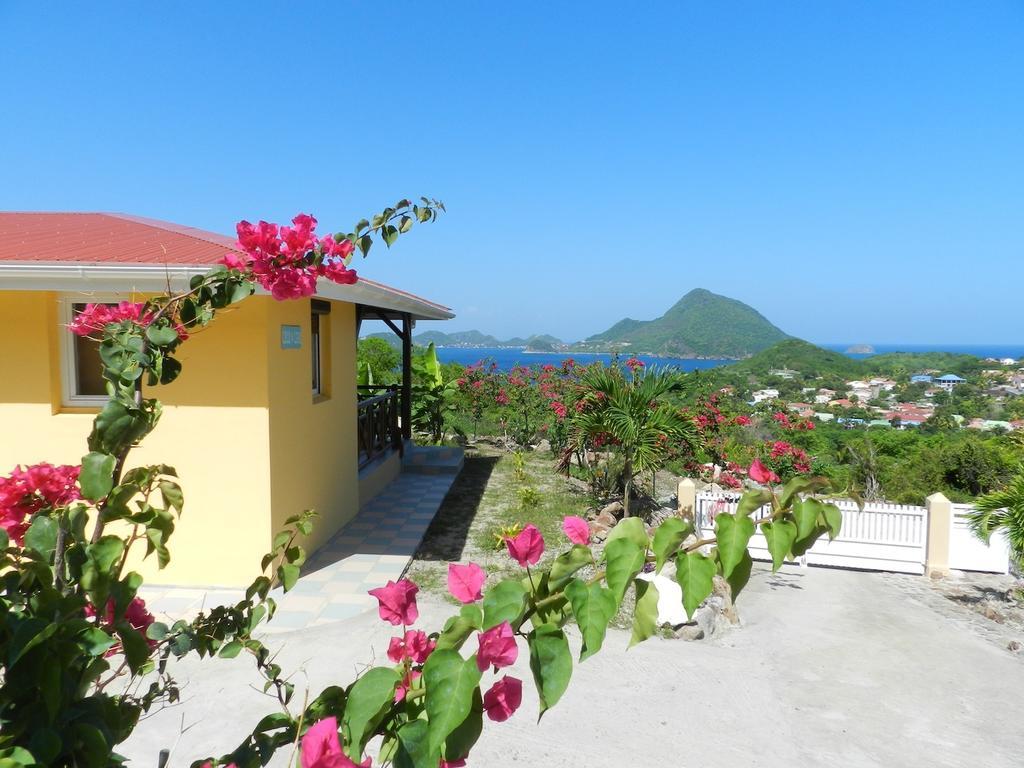 Coco D'Iles Leilighet Terre-de-Bas Rom bilde